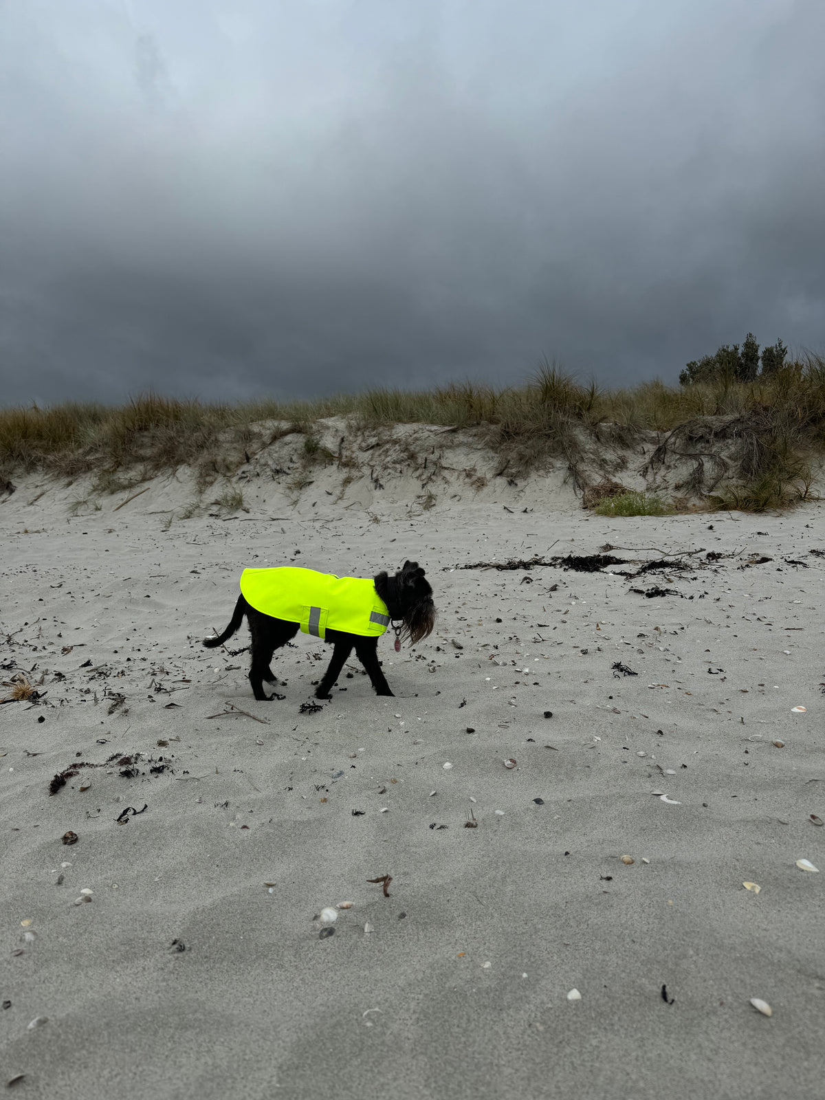 Neon Yellow Waterproof Doggy Raincoat