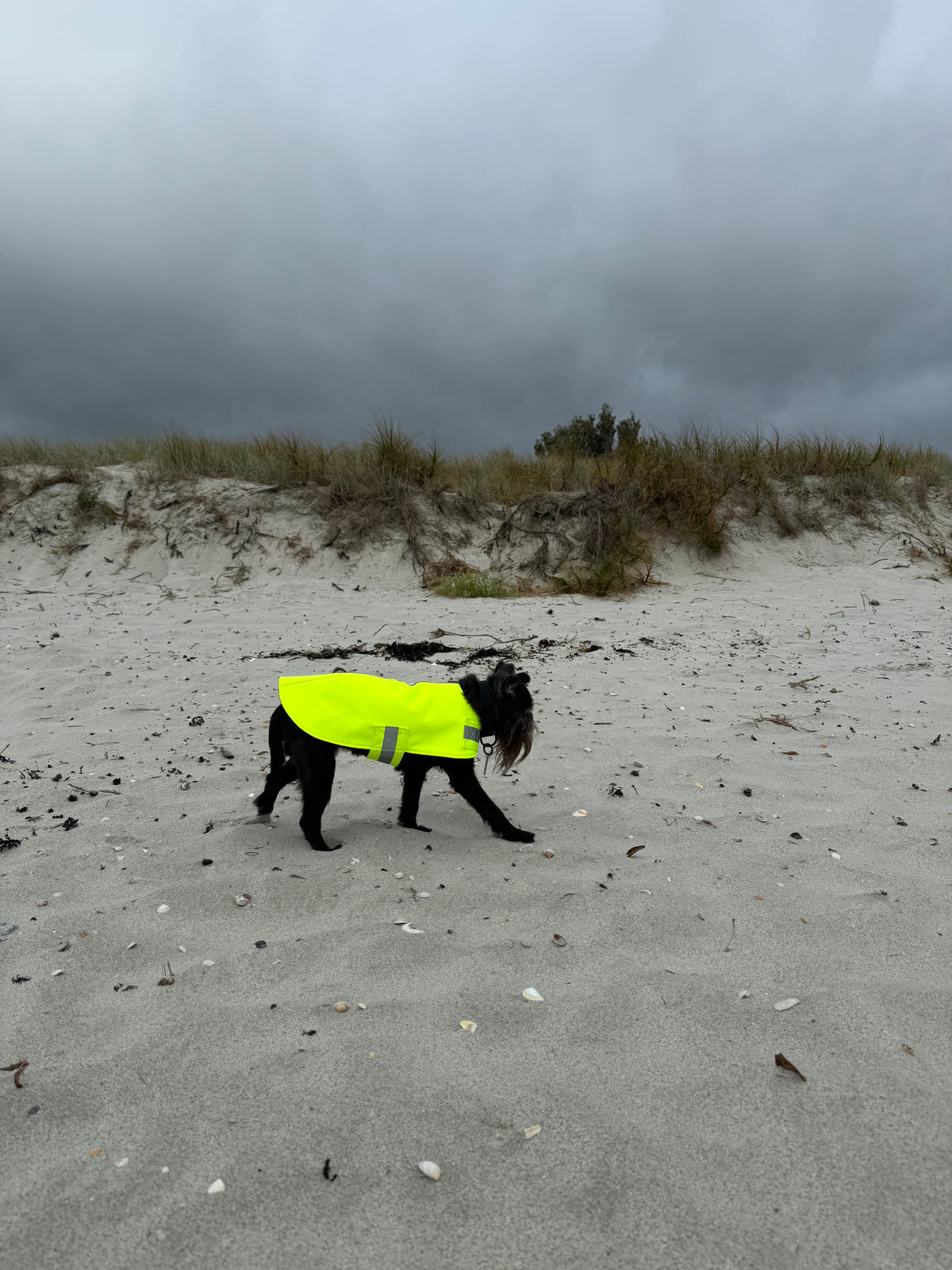 Neon Yellow Waterproof Doggy Raincoat