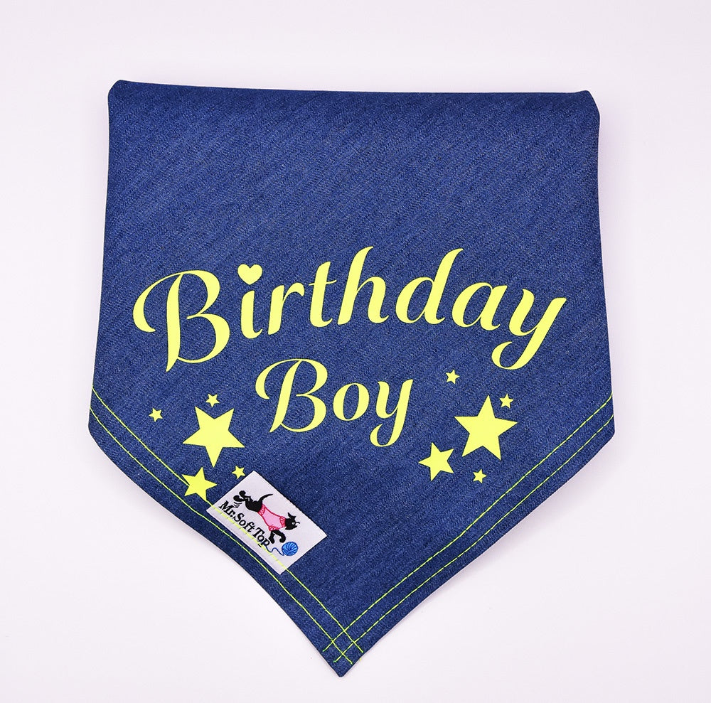 Birthday Boy! Dog Bandana