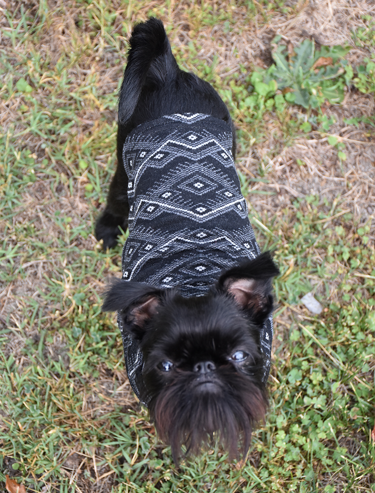 Black & Grey Geometric Merino  Dog Tee