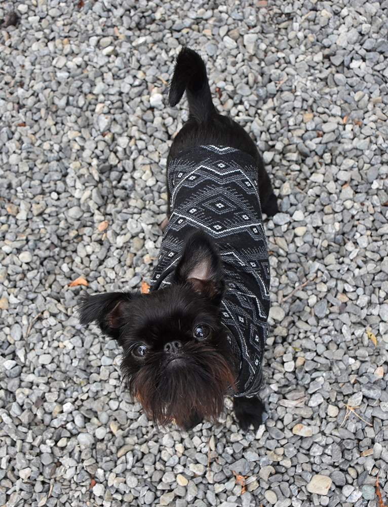 Black & Grey Geometric Merino  Dog Tee