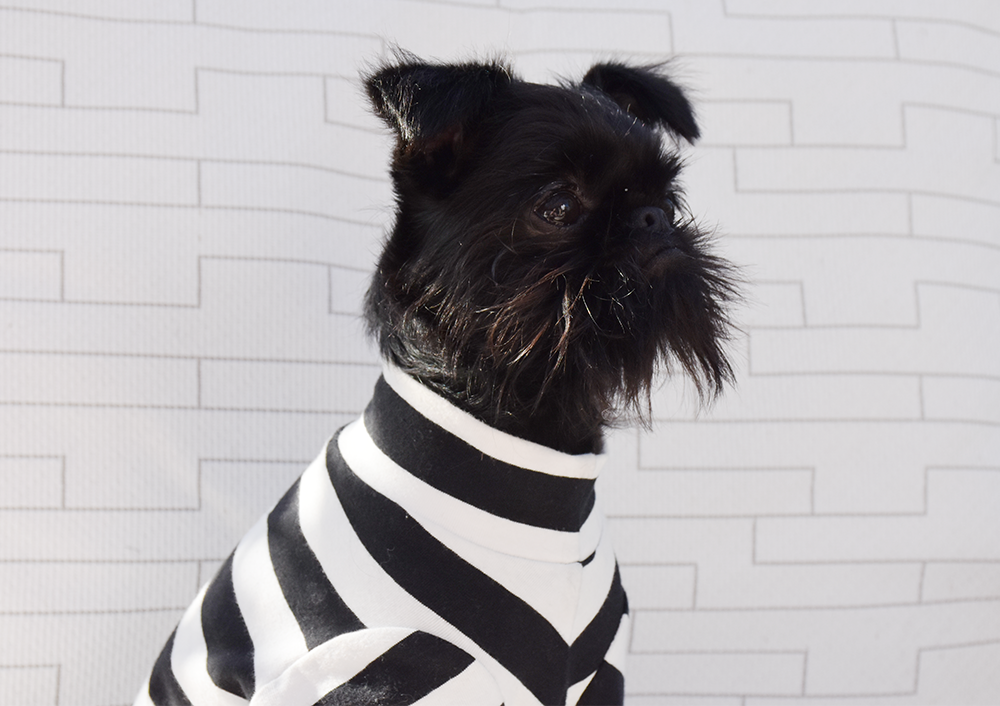 Black and White Wide Striped Cotton Tee