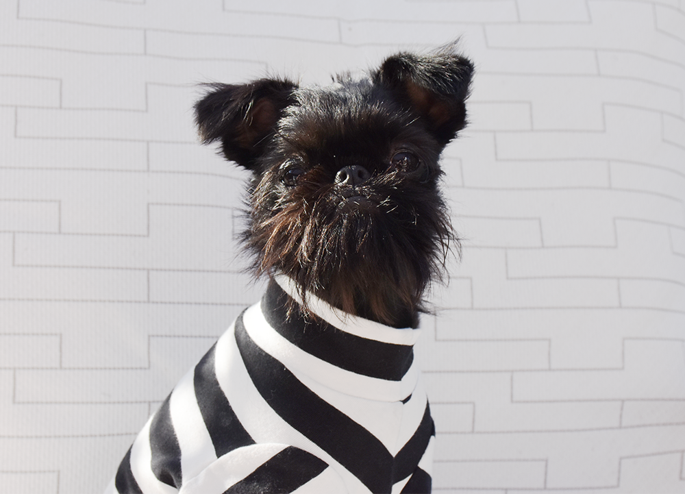 Black and White Wide Striped Cotton Tee