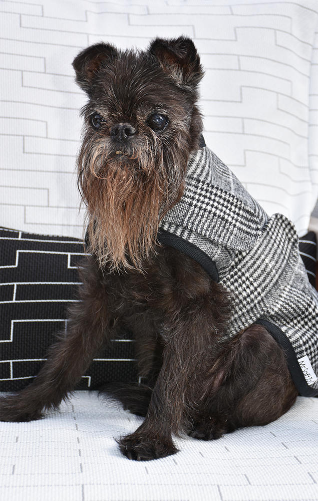 Black & White Houndstooth Tartan Walking Coat