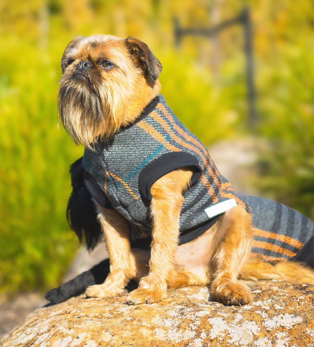 Charcoal and Orange Tartan Wool Blend Weekend Sweater