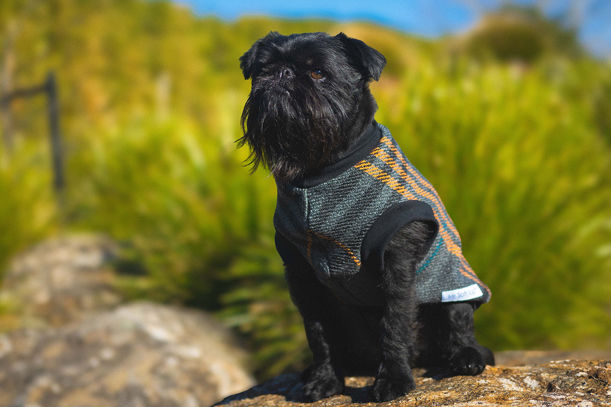 Charcoal and Orange Tartan Wool Blend Weekend Sweater