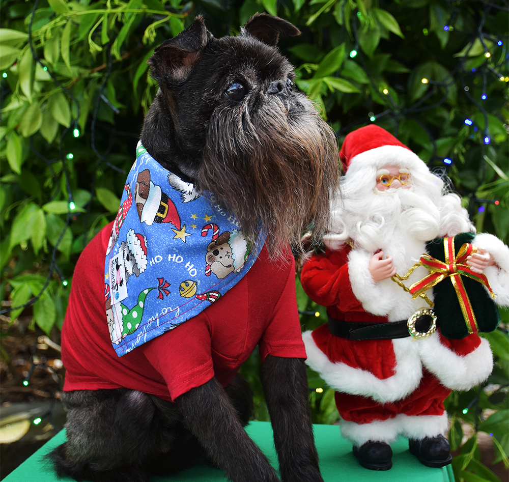 Glitter Christmas Dogs