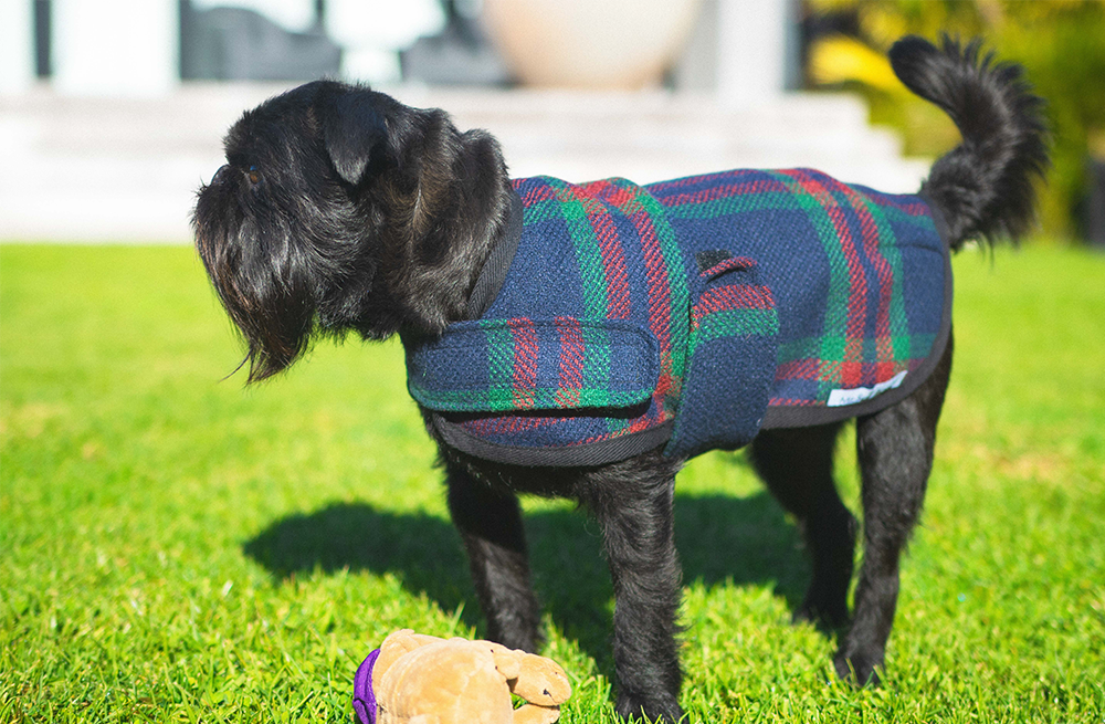 Navy Tartan Unlined Walking Dog Coat