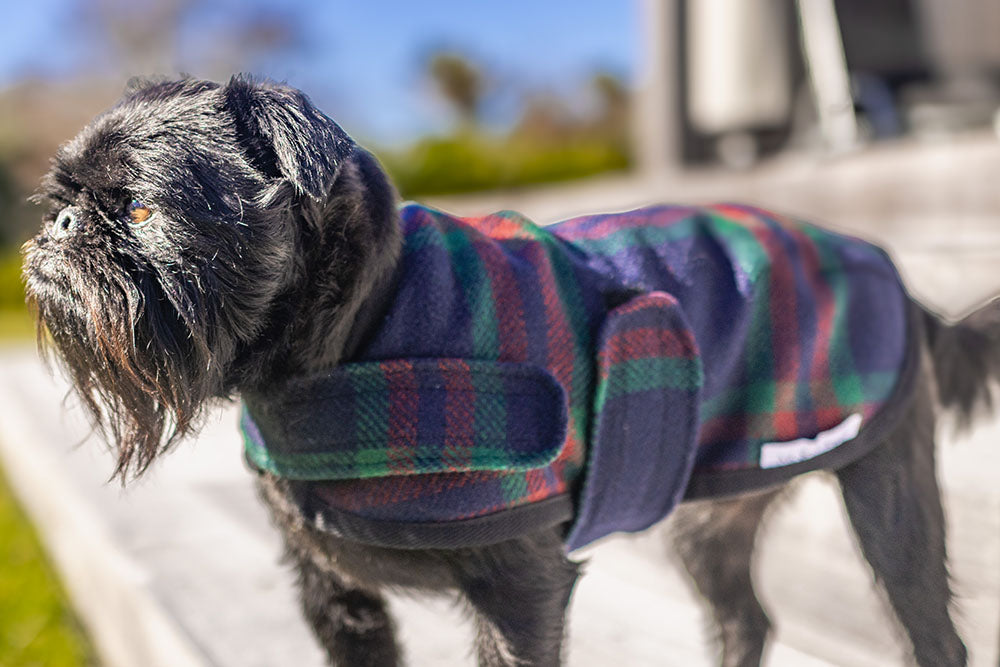 Navy Tartan Unlined Walking Dog Coat