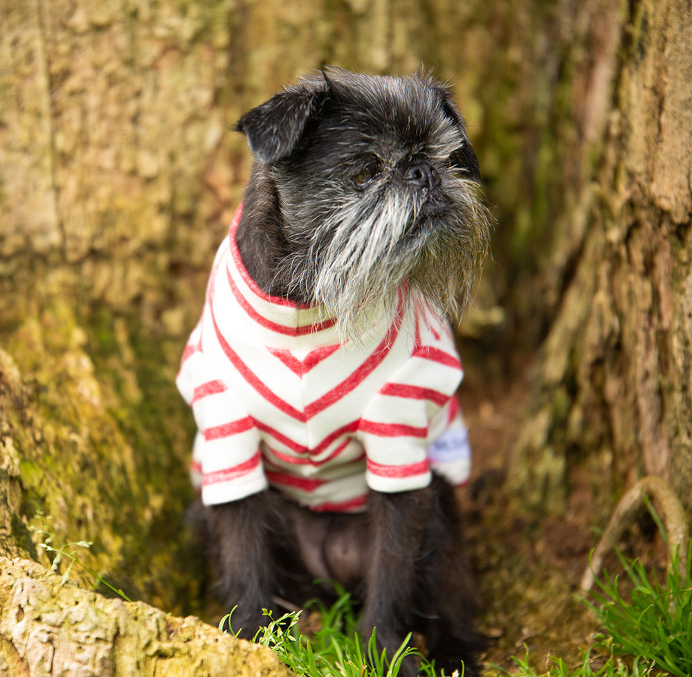 Red and Cream Striped Cotton Tee