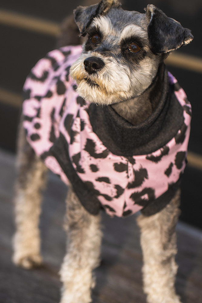 Running Wild Pink Leopard  Weekend Sweater