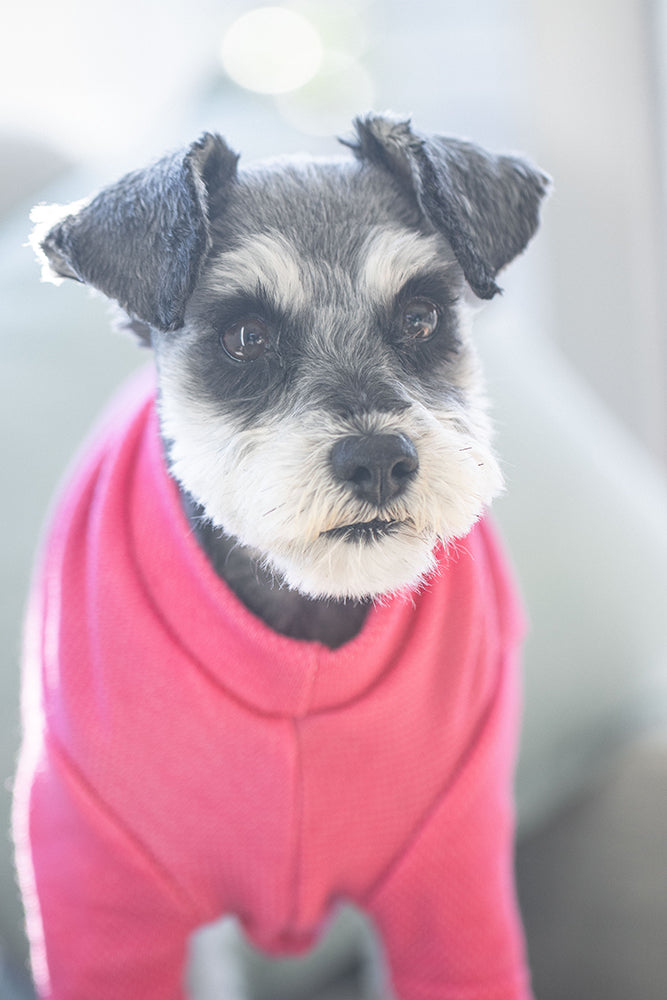 Pretty in Pink Activewear Merino Tee