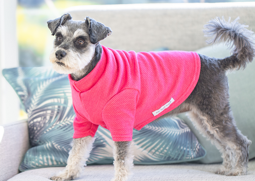 Pretty in Pink Activewear Merino Tee