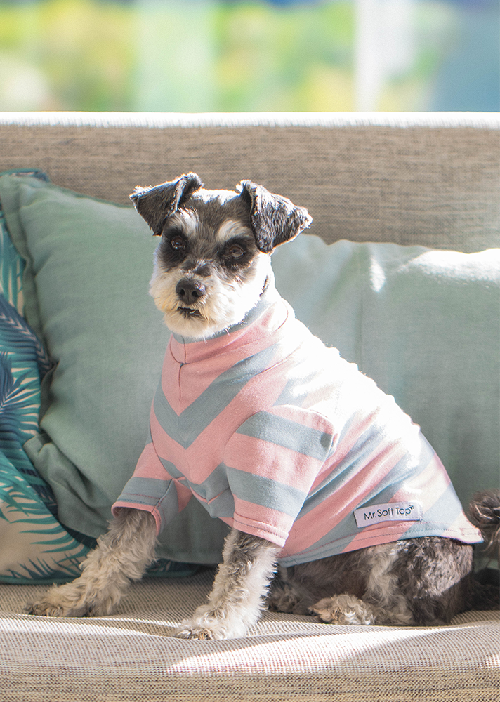 Pink and  Grey Wide Stripe Cotton Tee