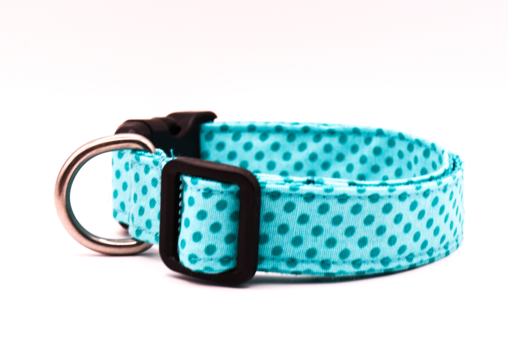 Teal Spot Dog Collar