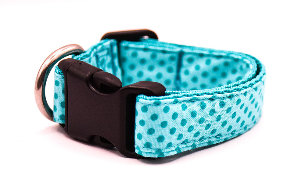 Teal Spot Dog Collar