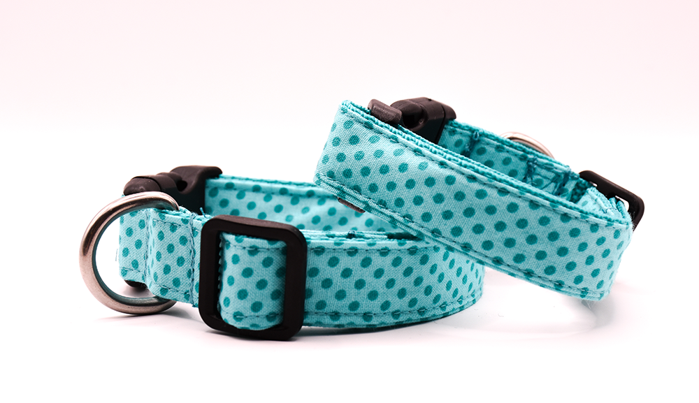 Teal Spot Dog Collar