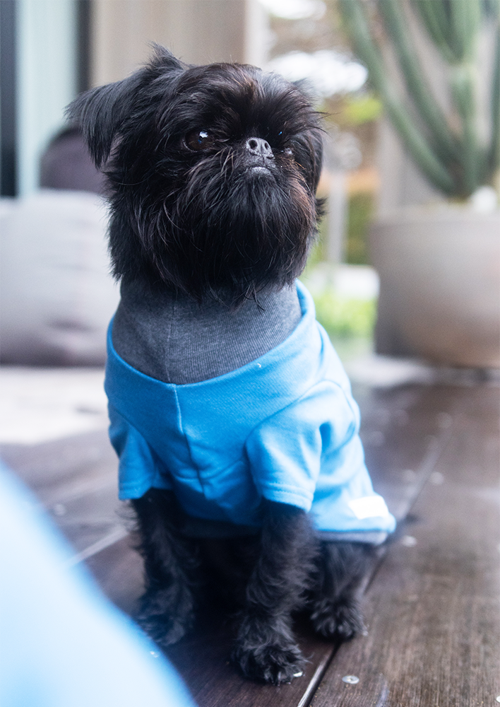 Blue and Grey Merino/Cotton Weekend Sweater