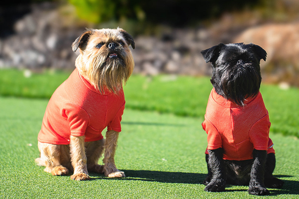 Electric Orange Activewear Merino Tee