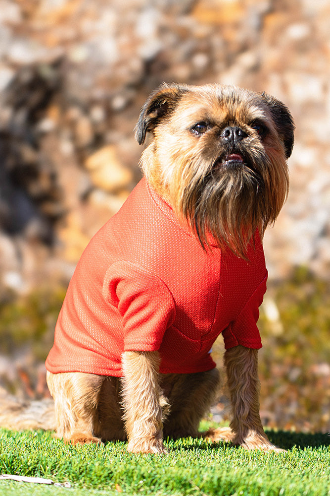 Electric Orange Activewear Merino Tee