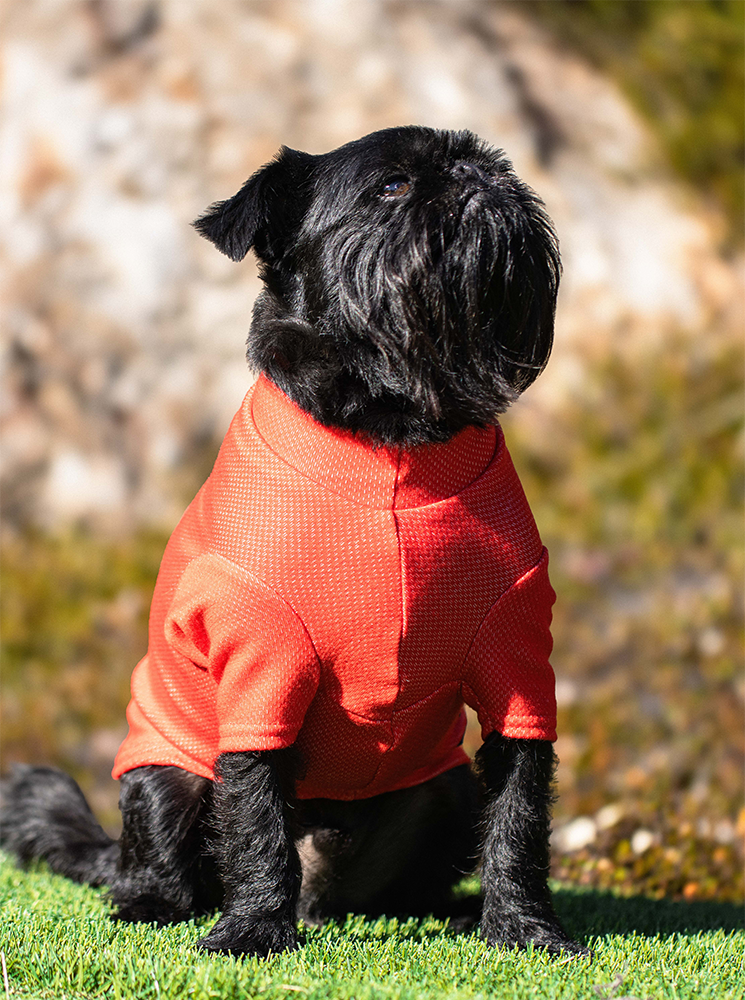 Electric Orange Activewear Merino Tee