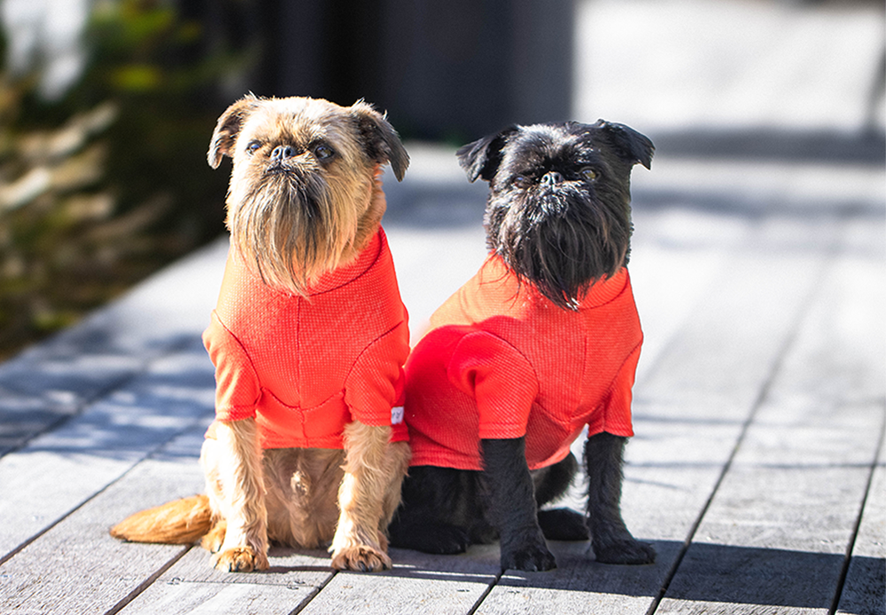 Electric Orange Activewear Merino Tee