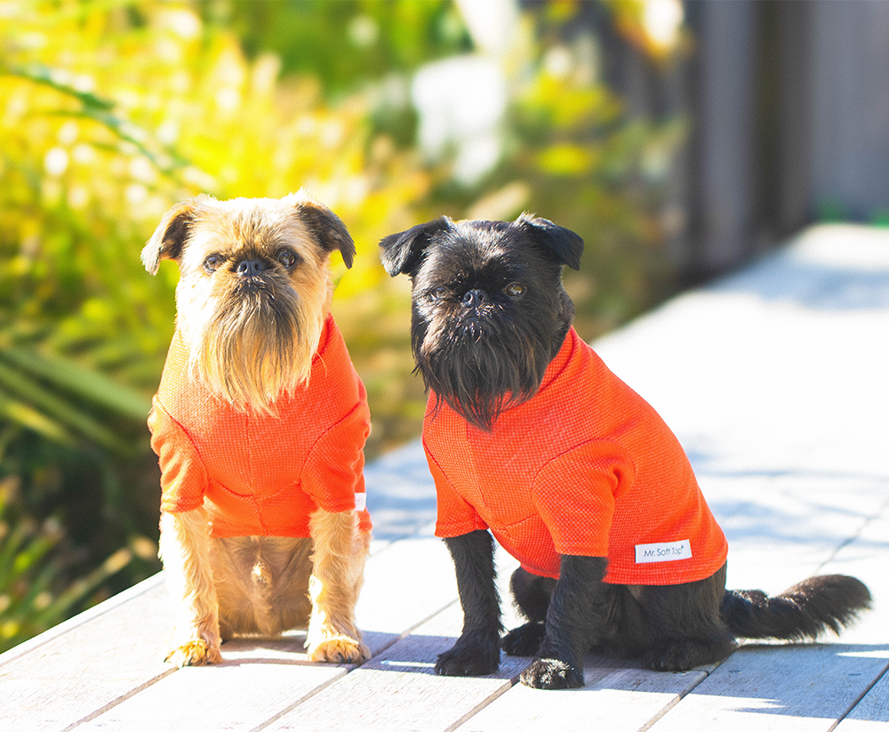 Electric Orange Activewear Merino Tee