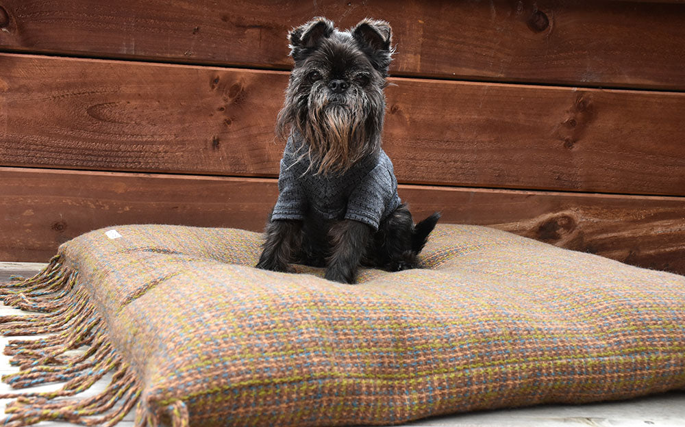 Mr price hotsell dog beds