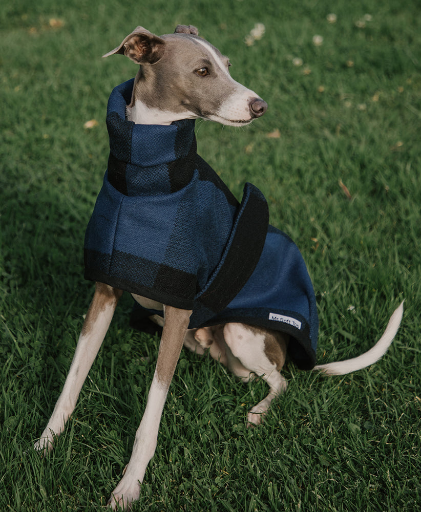 Italian hot sale greyhound jacket