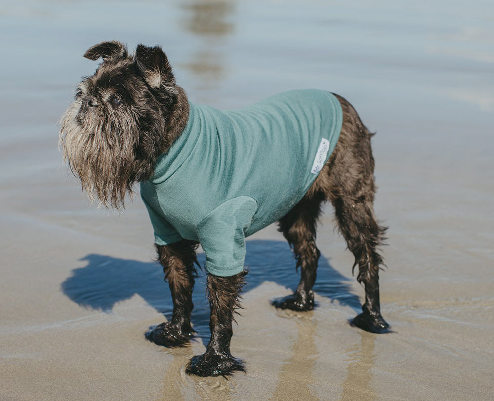 Sage Green Merino Tee