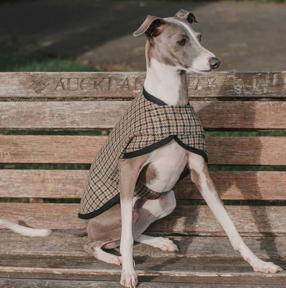 Greyhound tweed coat best sale